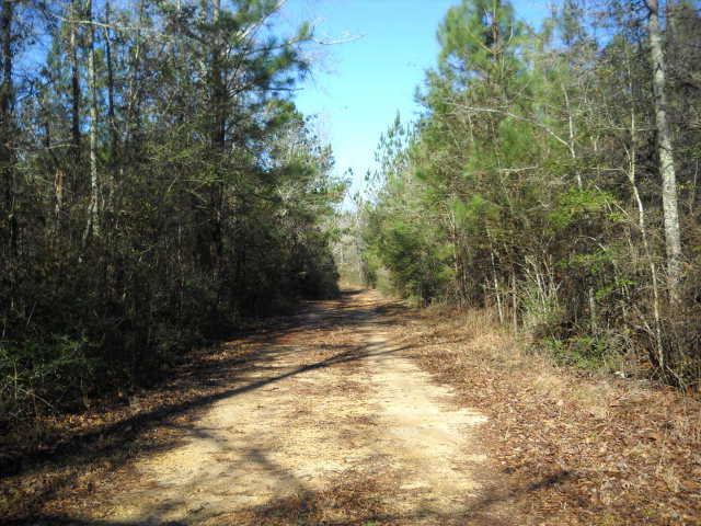 94 Francis Jackson Road Prentiss, MS 39474 - Photo 1 of 1 Main View