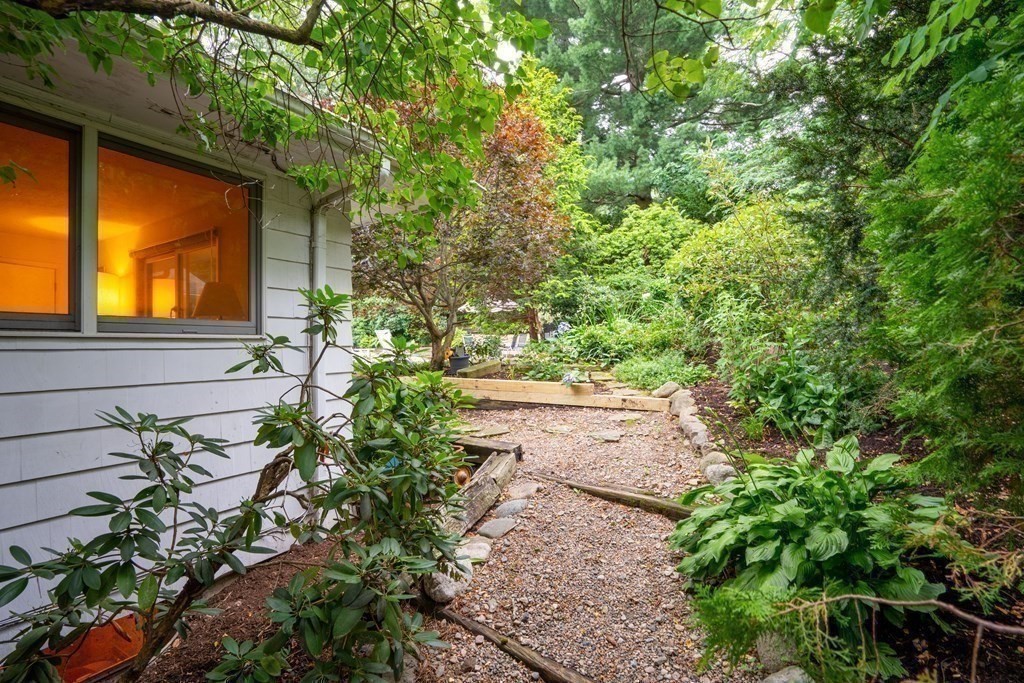 33 Sky View Circle Newton, MA 02459 - Photo 9 of 42 a view of a yard with plants and large trees