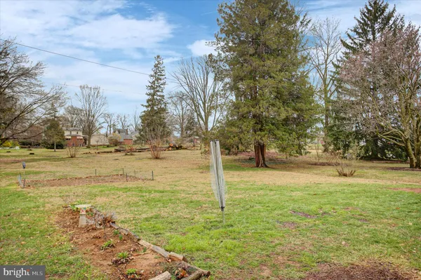 a view of yard with trees
