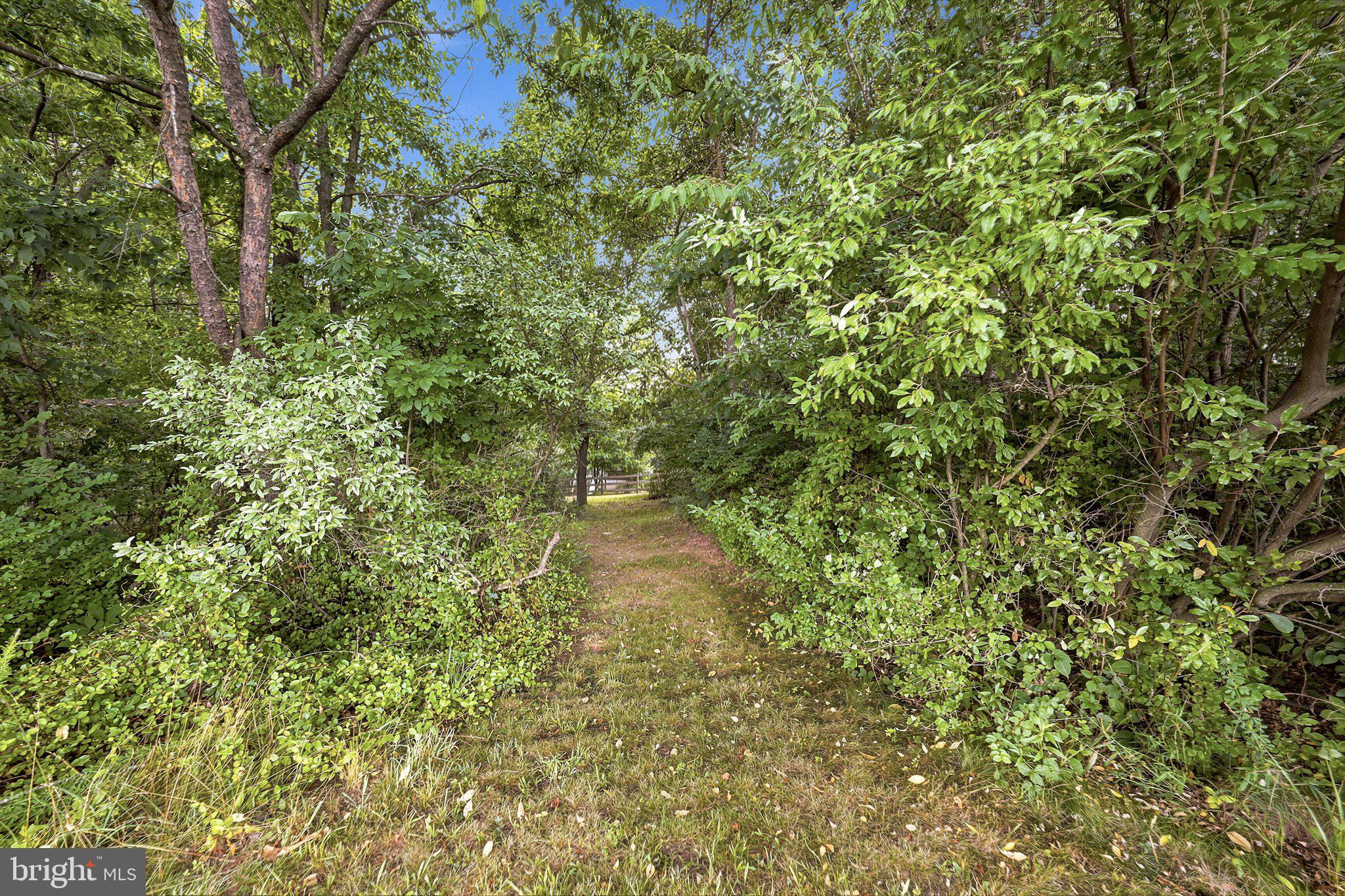150 Holiday Road Cross Junction, VA 22625 - Photo 63 of 97 Backyard