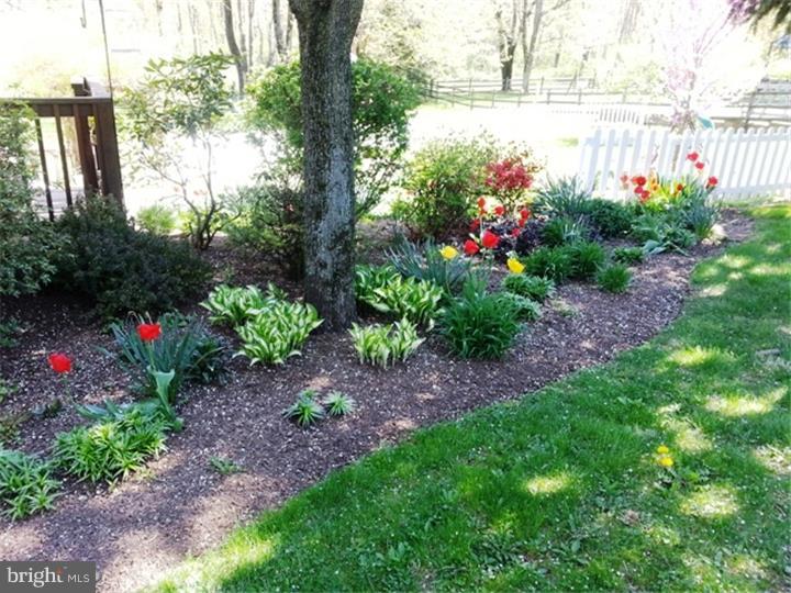 78 Passmore Road Bechtelsville, PA 19505 - Photo 20 of 25 Back Yard