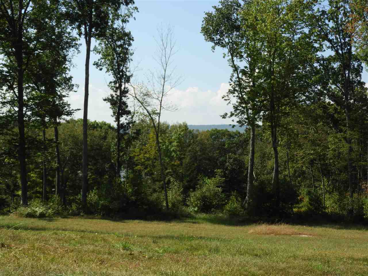 Lot #8 Deer Run/old Keene Road Walpole, NH 03608 - Photo 1 of 4