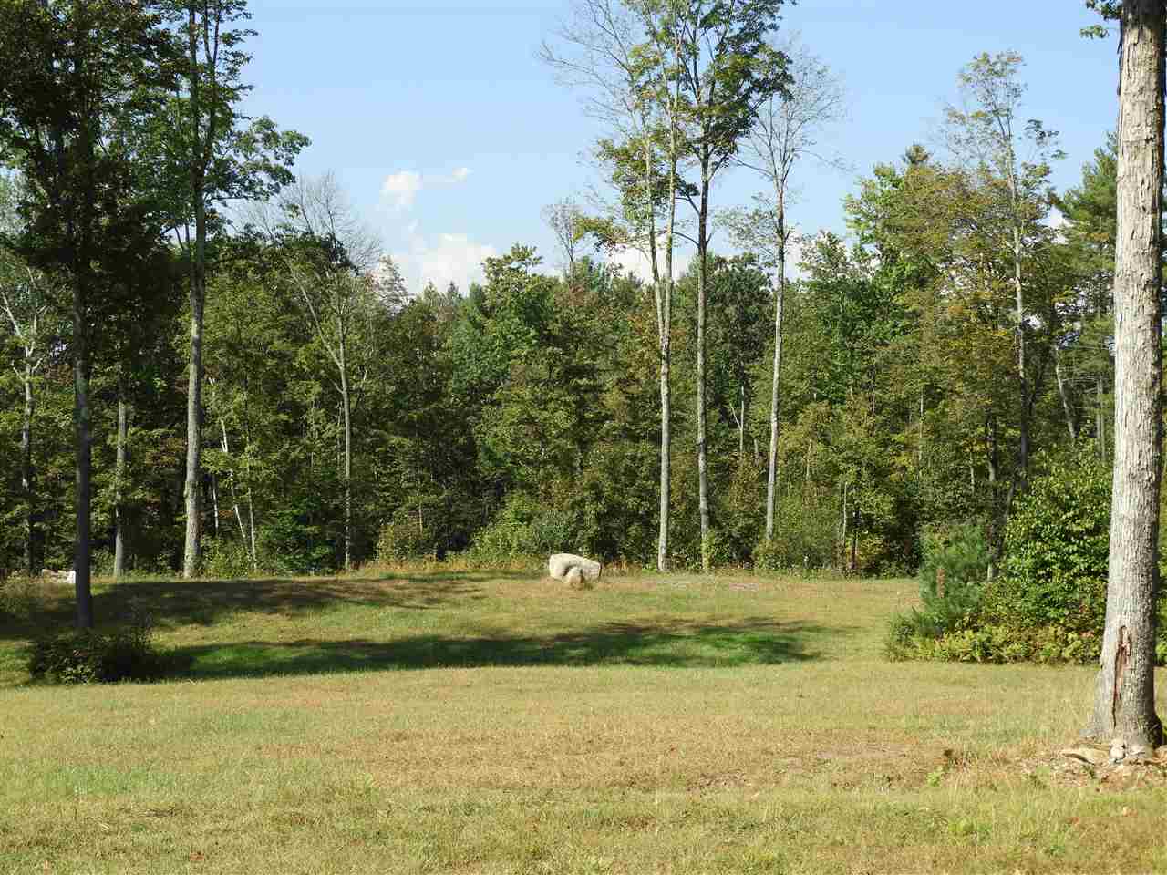 Lot #8 Deer Run/old Keene Road Walpole, NH 03608 - Photo 3 of 4