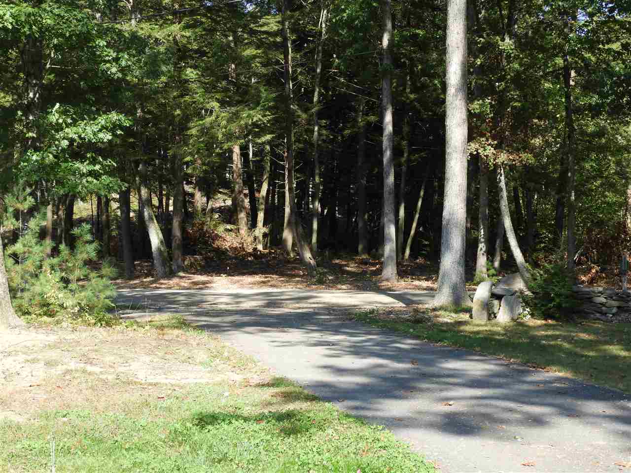 Lot #8 Deer Run/old Keene Road Walpole, NH 03608 - Photo 4 of 4