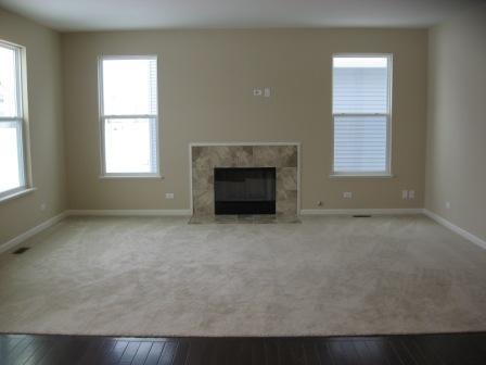 152 Reston Lane Gilberts, IL 60136 - Photo 3 of 6 an empty room with a fireplace and windows