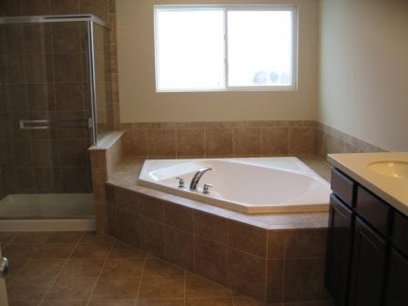 152 Reston Lane Gilberts, IL 60136 - Photo 5 of 6 a bathroom with a bathtub and shower