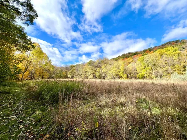 $1,550,000 | 28589 Lake Street, Frontenac, MN 55026