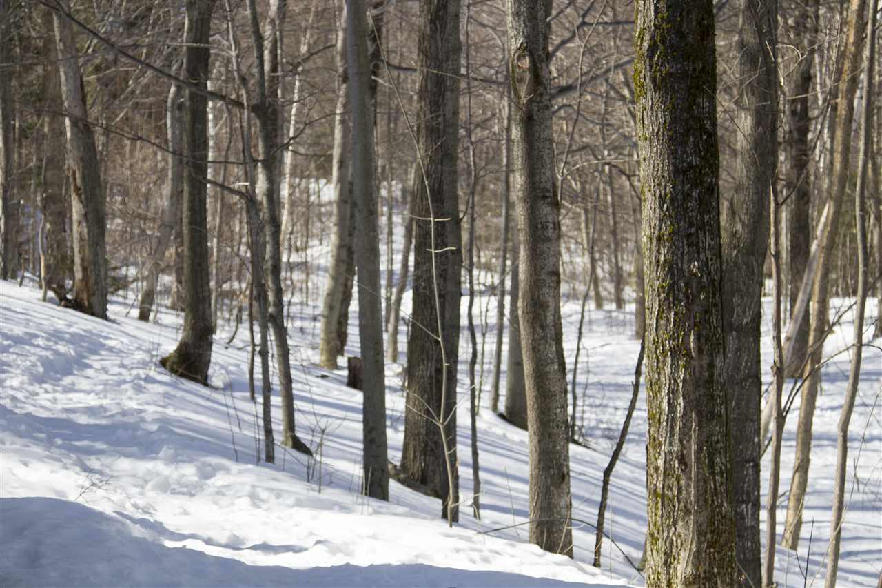 36 Shattarack Road, Unit B8 Stratton, VT 05155 - Photo 15 of 16 Gallery Image 15