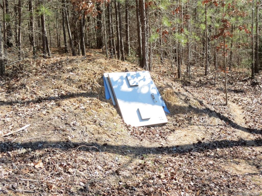 950 Slick Rock Road Chester, SC 29706 - Photo 11 of 16