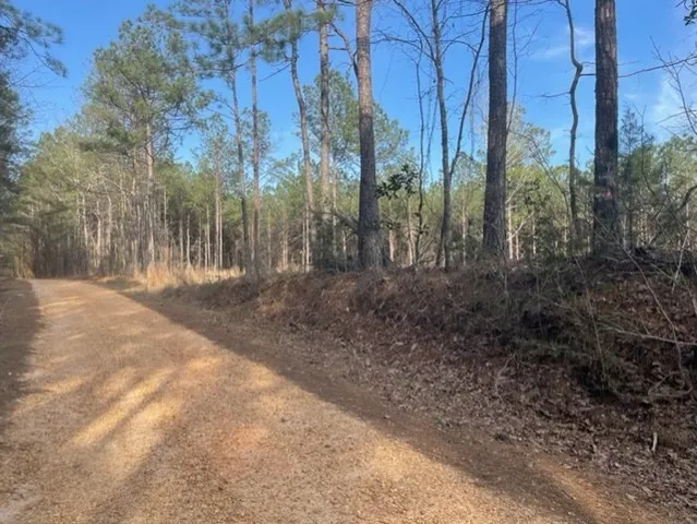 $45,000 | 371 Low Water Lane Southwest, Brookhaven, MS 39601