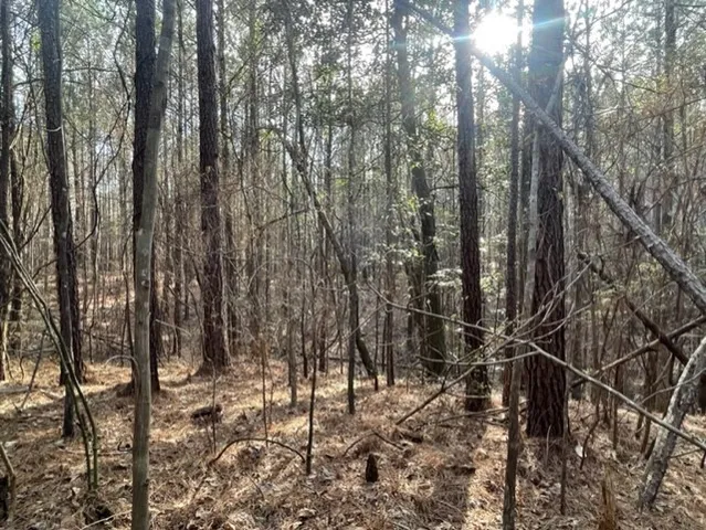 $45,000 | 371 Low Water Lane Southwest, Brookhaven, MS 39601