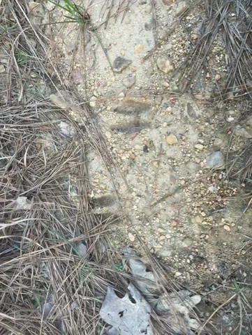 $45,000 | 371 Low Water Lane Southwest, Brookhaven, MS 39601