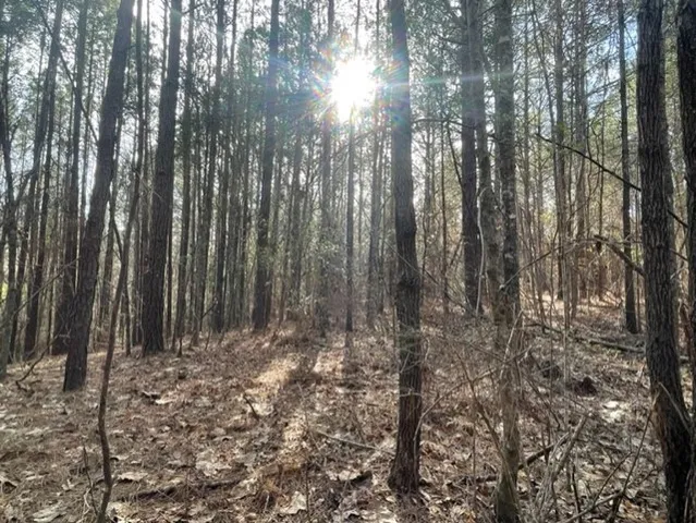 $45,000 | 371 Low Water Lane Southwest, Brookhaven, MS 39601