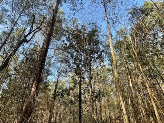 $45,000 | 371 Low Water Lane Southwest, Brookhaven, MS 39601