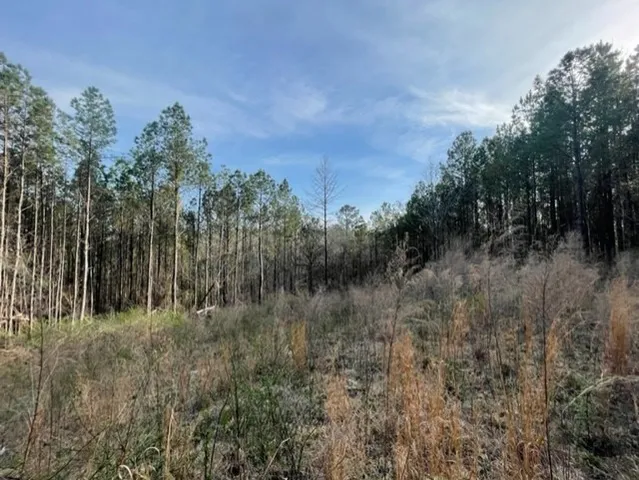 $45,000 | 371 Low Water Lane Southwest, Brookhaven, MS 39601