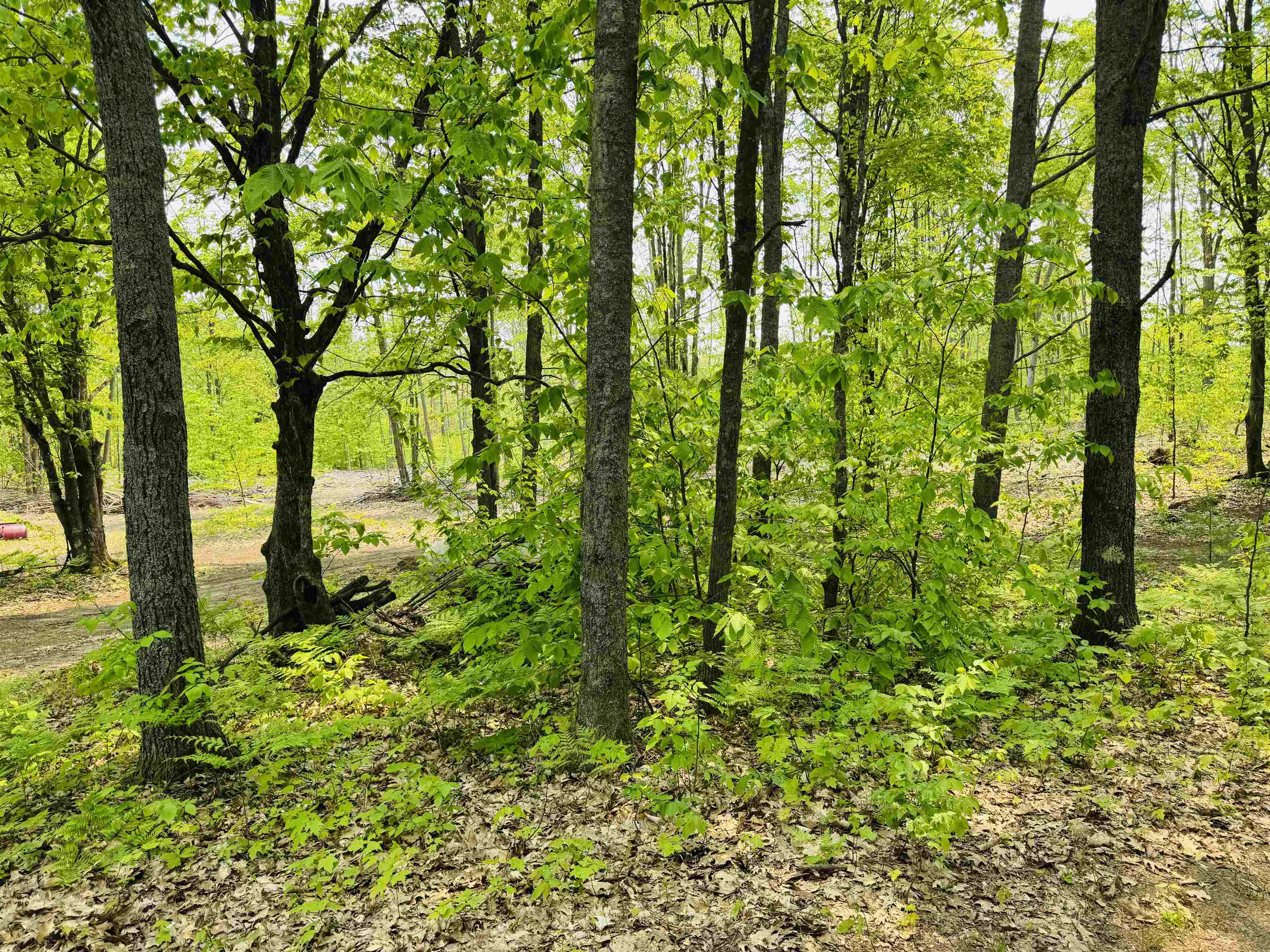 11711 22 3/4 Road Manton, MI 49663 - Photo 6 of 42