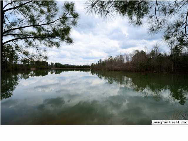 351 Horton Cove Road Calera, AL 35040 - Photo 2 of 32