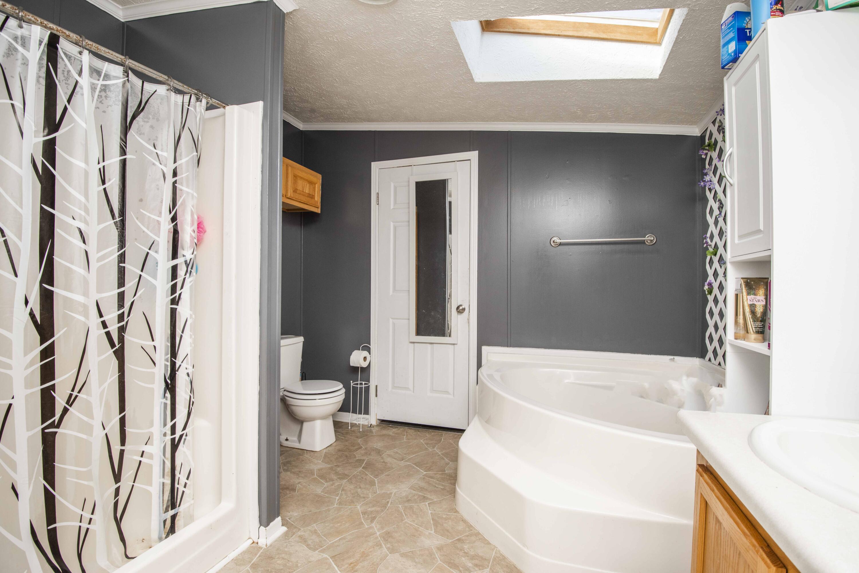 5836 Indian Ridge Road Rutledge, TN 37861 - Photo 22 of 35 master bath_1