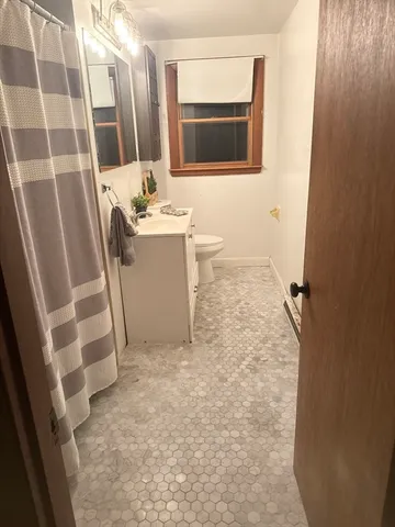 a bathroom with a sink a toilet a mirror and shower