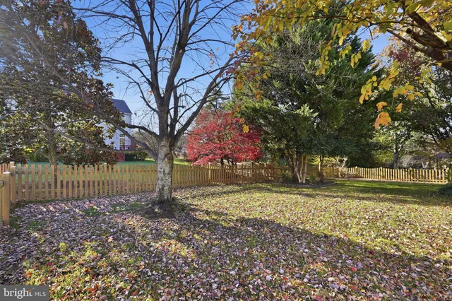 a view of a yard with a tree