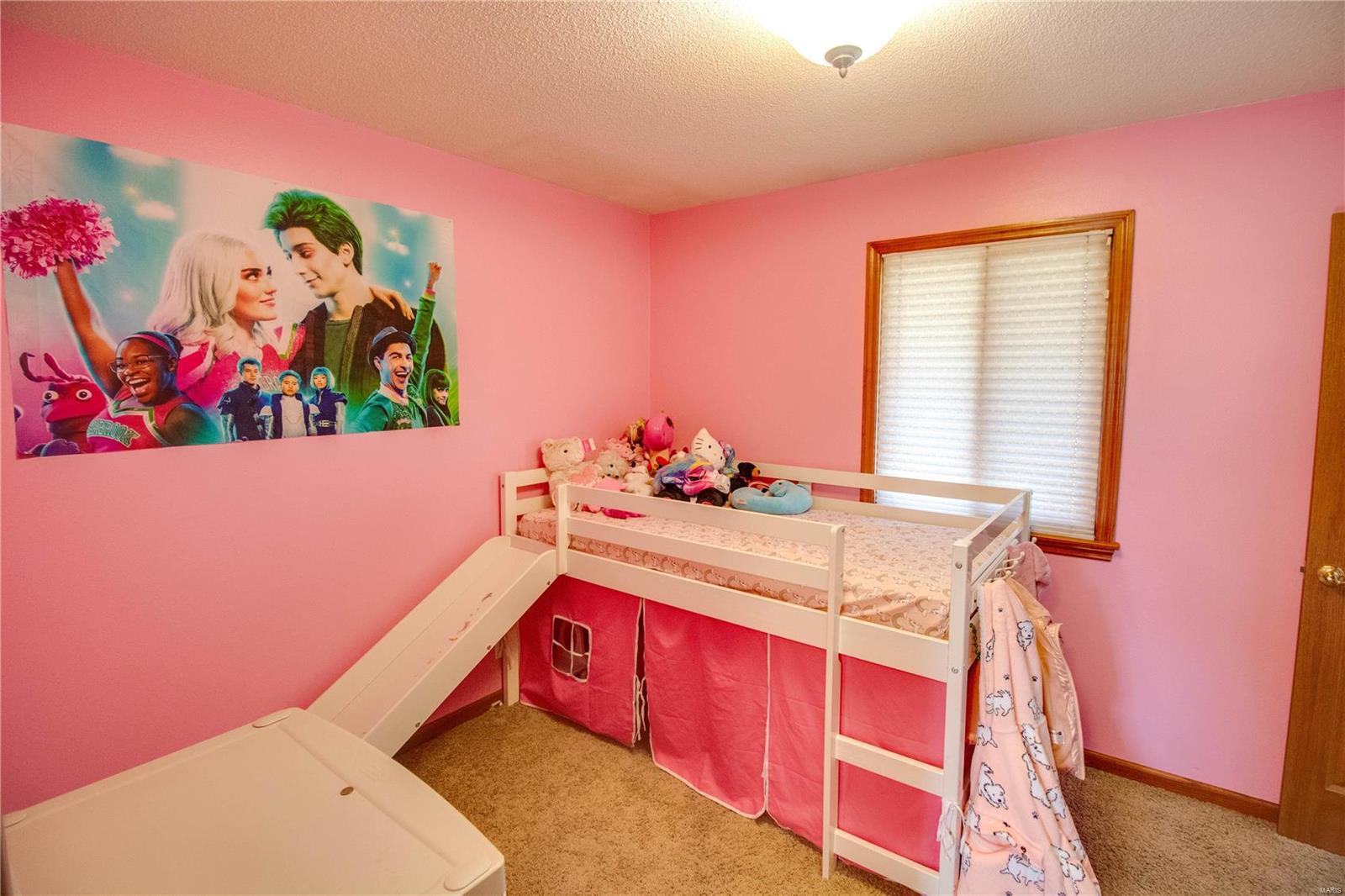 2907 Fox Run Drive Godfrey, IL 62035 - Photo 30 of 65