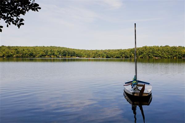 214 Farm Road Sherborn, MA 01770 - Photo 13 of 13 Gallery Image 13