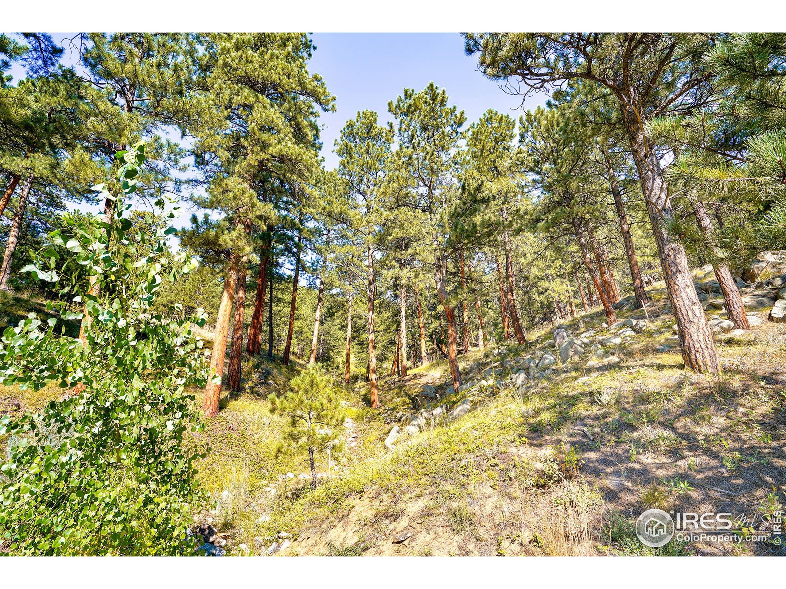 695 Cutter Lane Boulder, CO 80302 - Photo 26 of 39