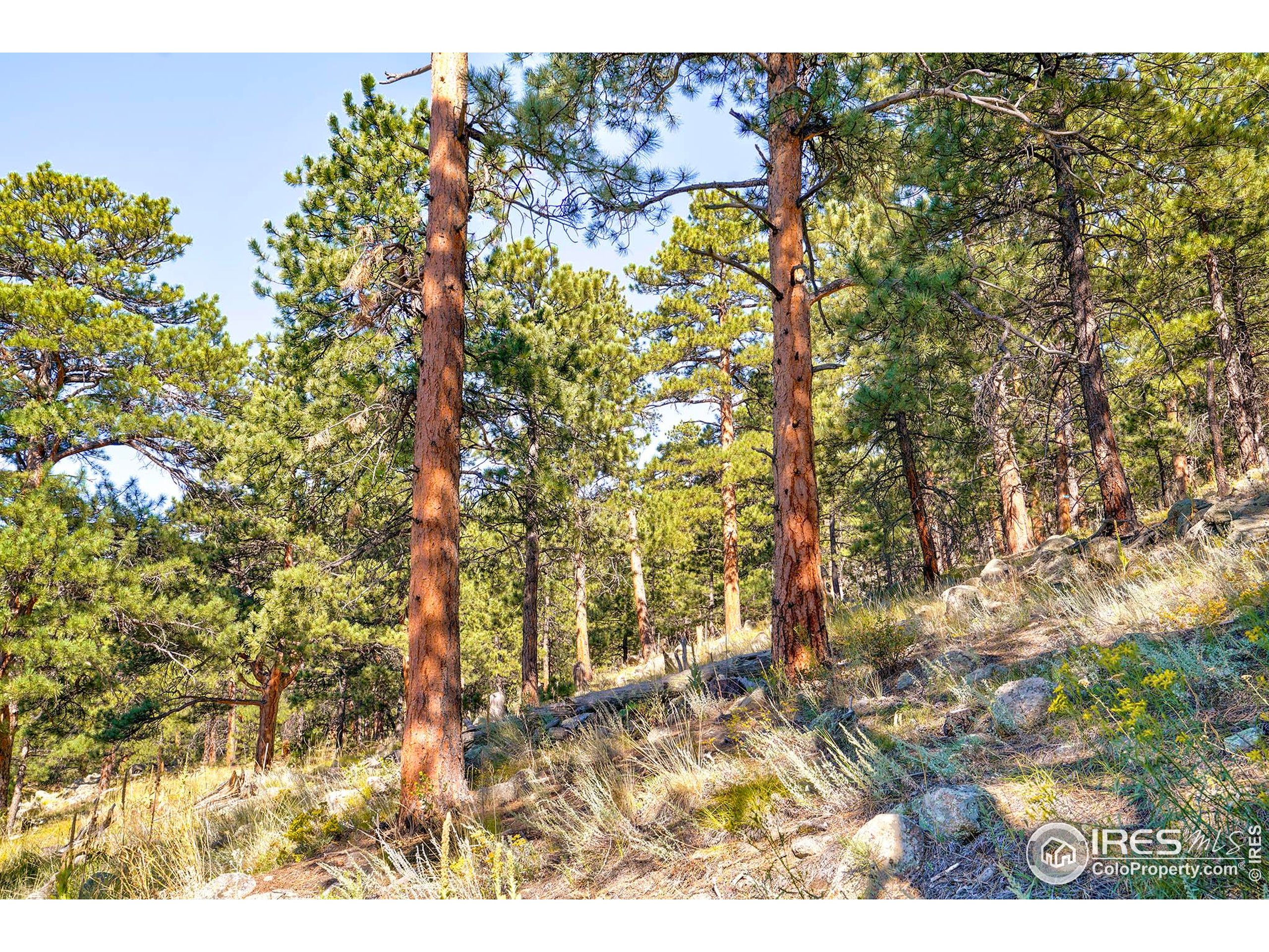 695 Cutter Lane Boulder, CO 80302 - Photo 28 of 39