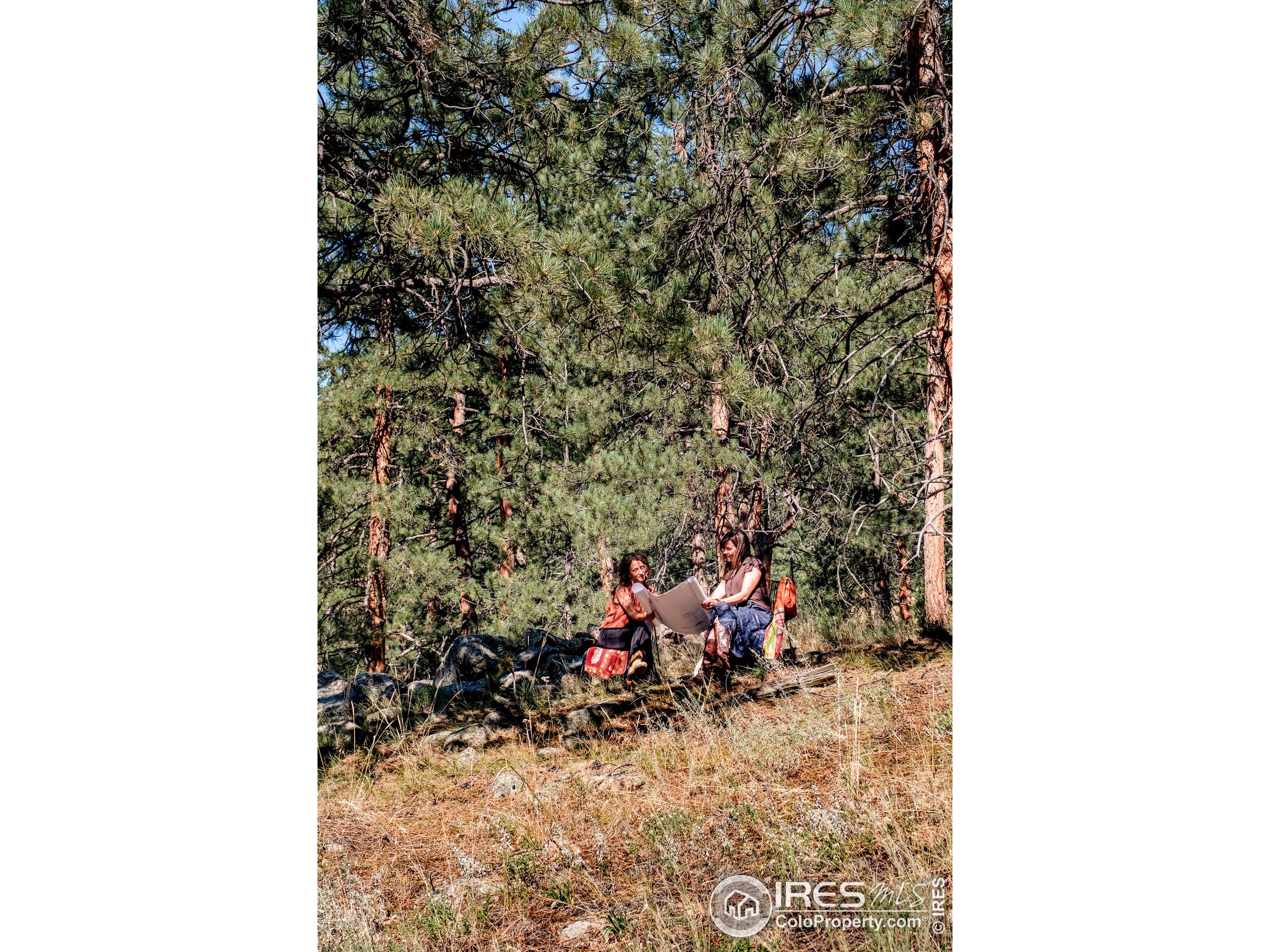 695 Cutter Lane Boulder, CO 80302 - Photo 34 of 39