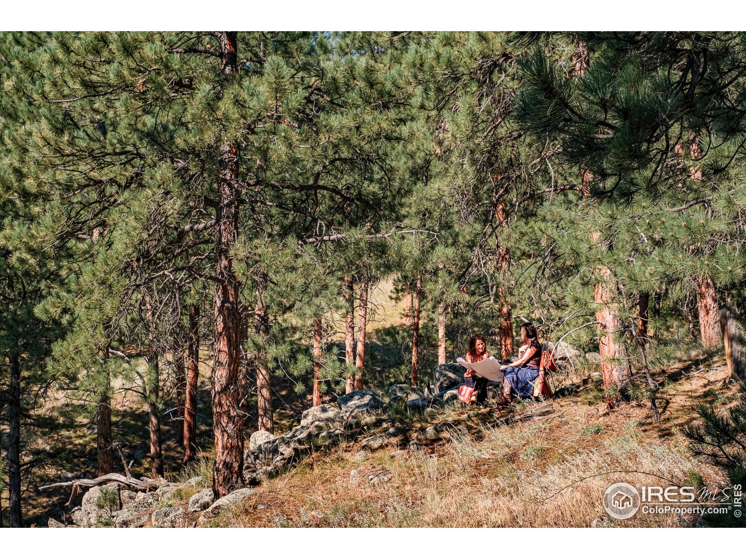 695 Cutter Lane Boulder, CO 80302 - Photo 39 of 39