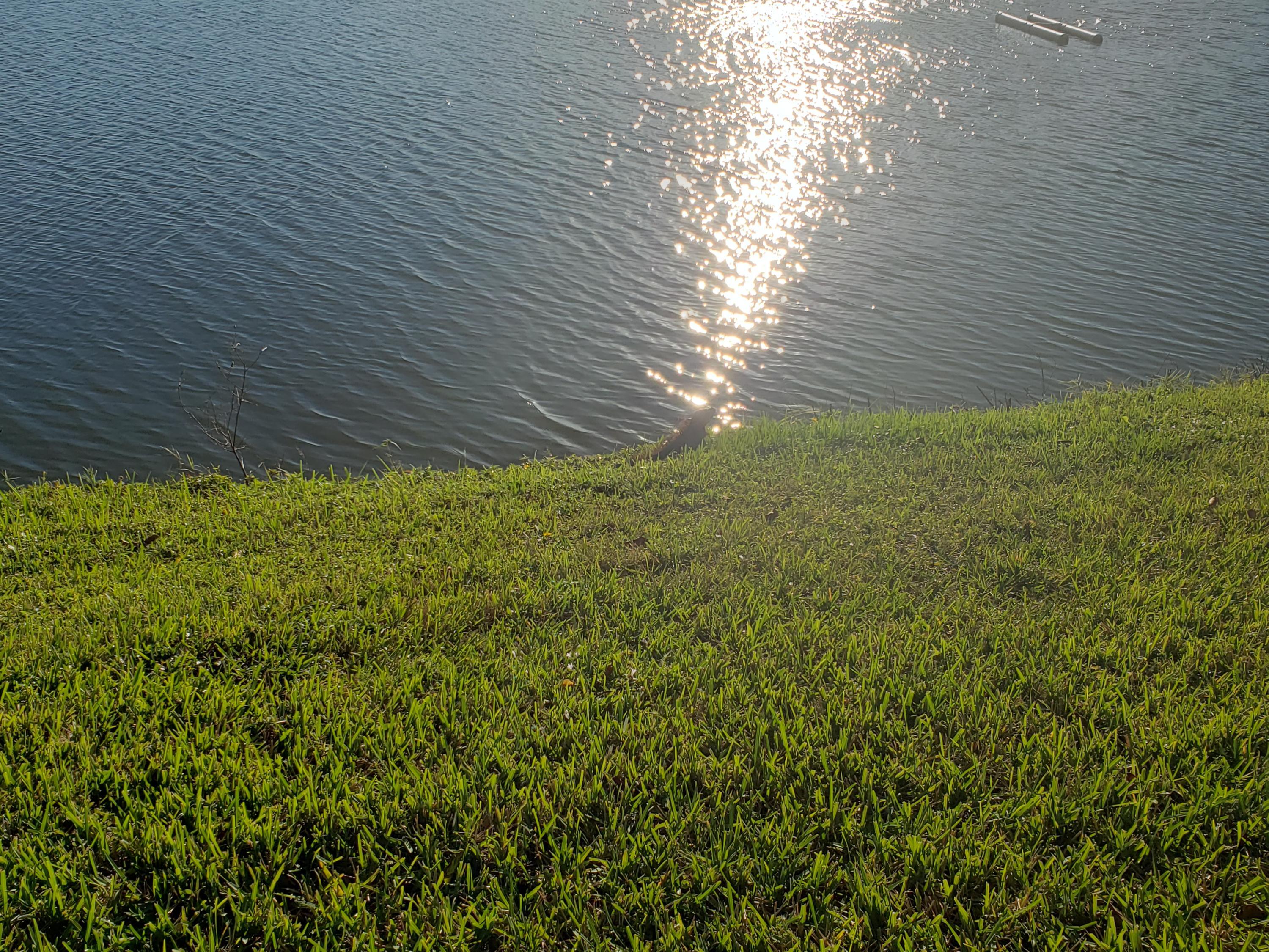 874 Flanders South Delray Beach, FL 33484 - Photo 30 of 48 20201221_160934