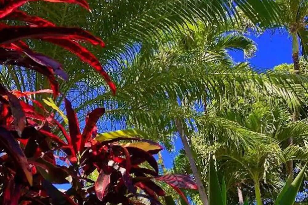 1299 Uluniu Road, Unit F203 Kihei, HI 96753 - Photo 38 of 47