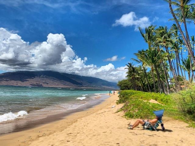 1299 Uluniu Road, Unit F203 Kihei, HI 96753 - Photo 45 of 47