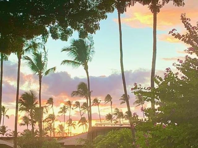 1299 Uluniu Road, Unit F203 Kihei, HI 96753 - Photo 47 of 47