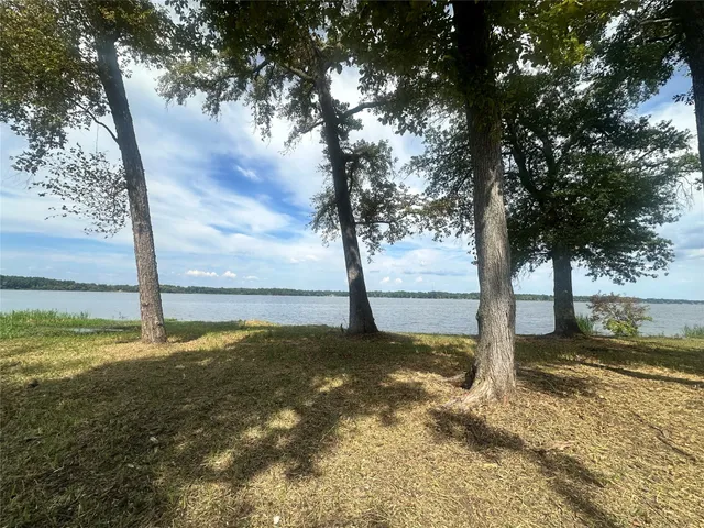 a view of a backyard of a house