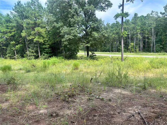 a view of backyard with green space