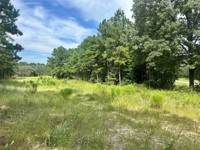 a view of yard with trees
