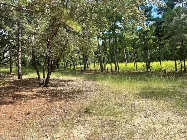 a view of a yard with a trees