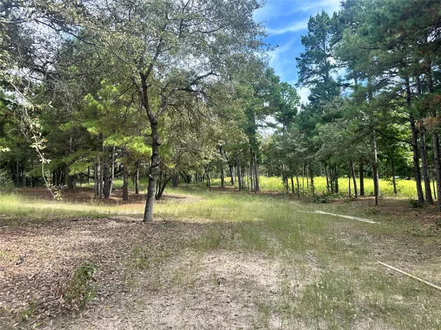 a view of an ocean with beach