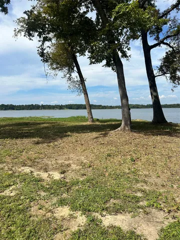 a view of an outdoor space with yard