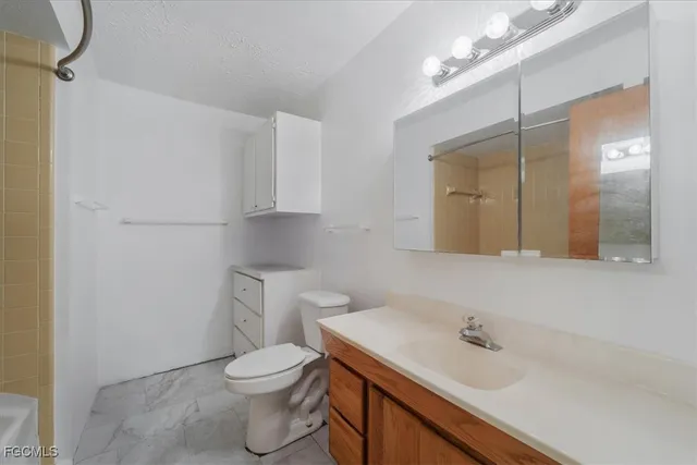 a bathroom with a sink a toilet and vanity