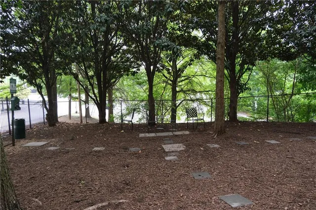 a view of a tree in the middle of a yard