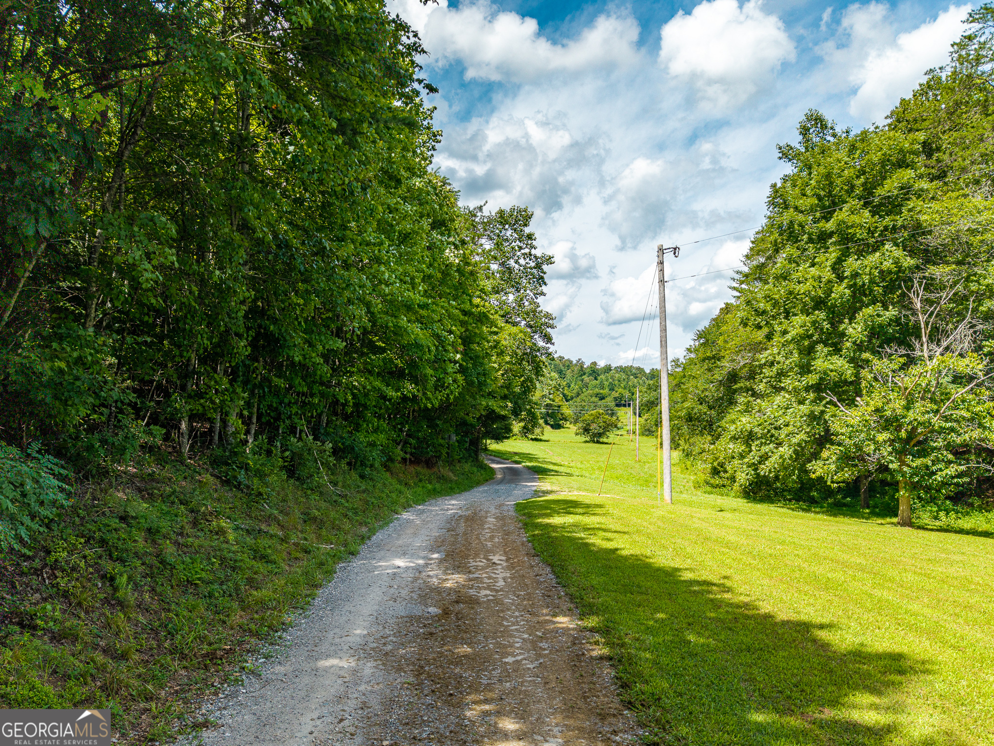 0 White Pine Road McCaysville, GA 30555 - Photo 6 of 32 Gallery Image 6