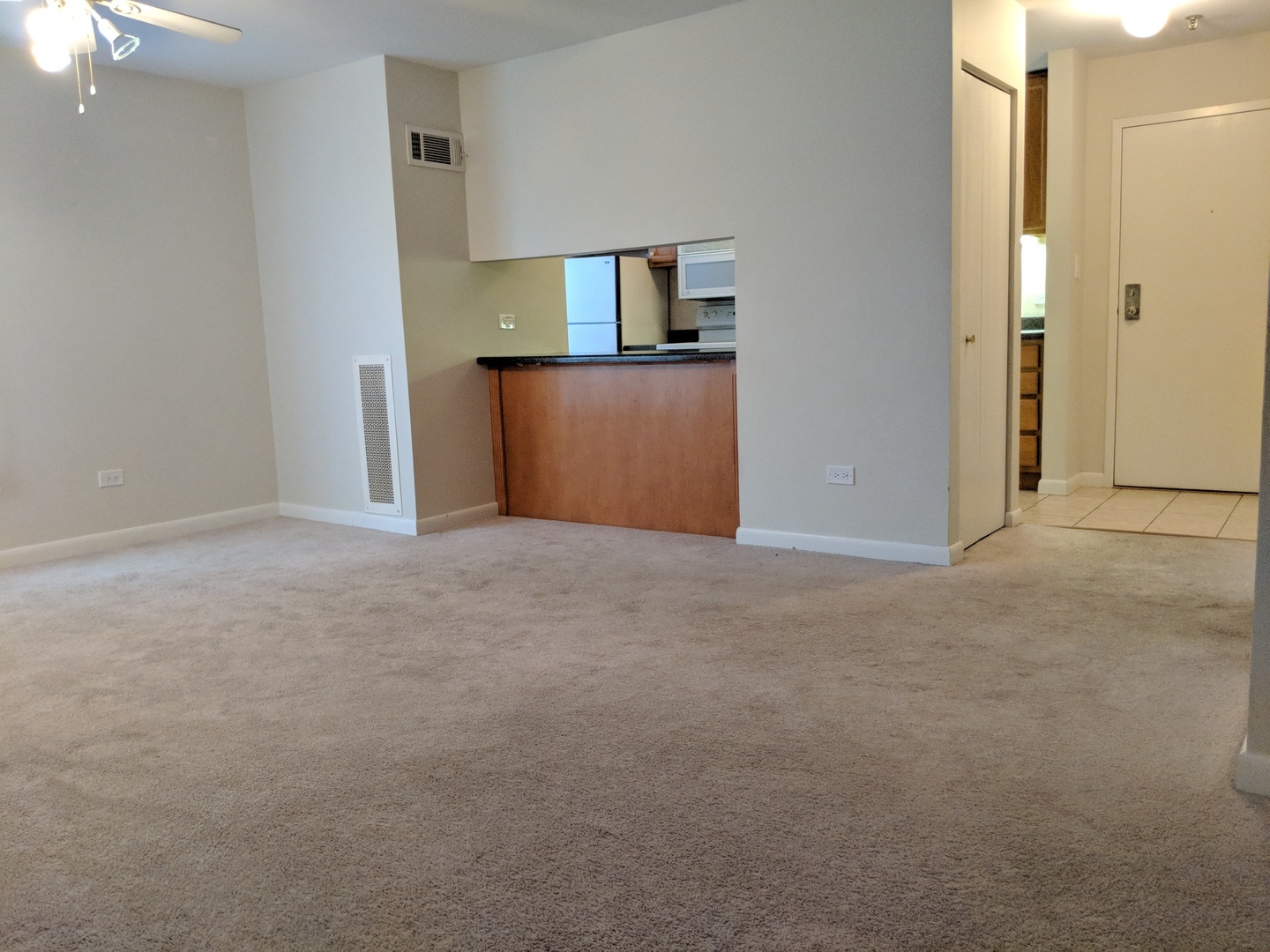 3255 Kirchoff Road, Unit 301 Rolling Meadows, IL 60008 - Photo 2 of 23