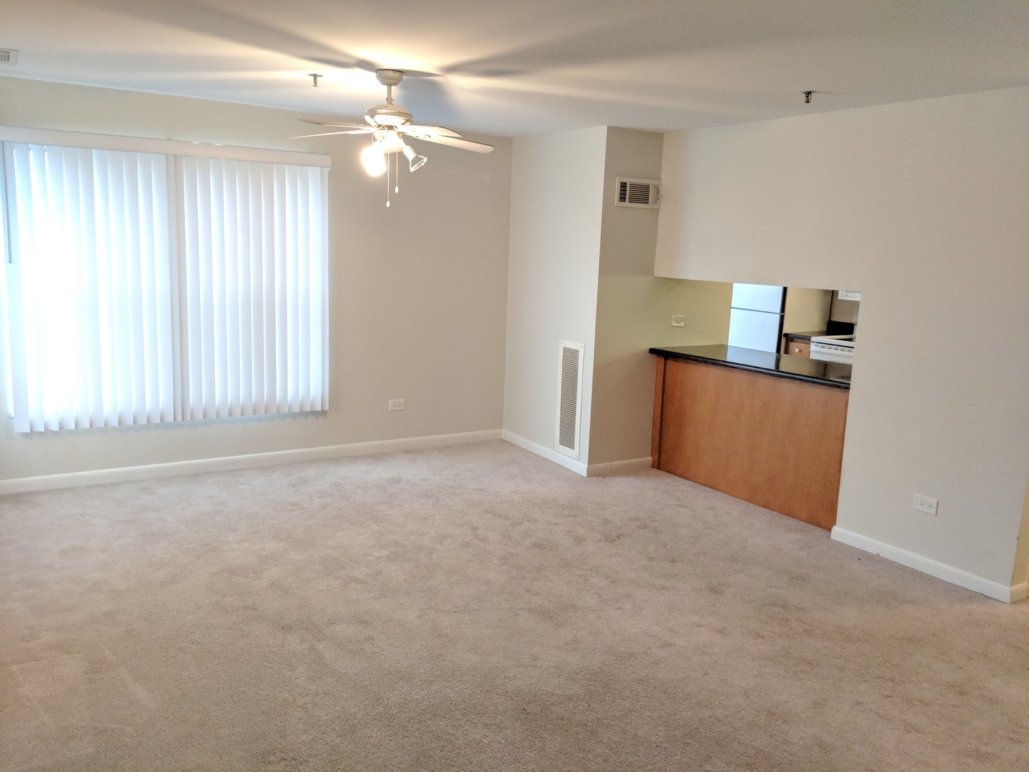 3255 Kirchoff Road, Unit 301 Rolling Meadows, IL 60008 - Photo 4 of 23