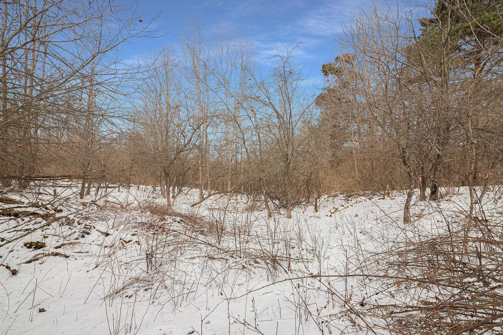 0 Snell Road Frankfort, MI 49635 - Photo 12 of 21