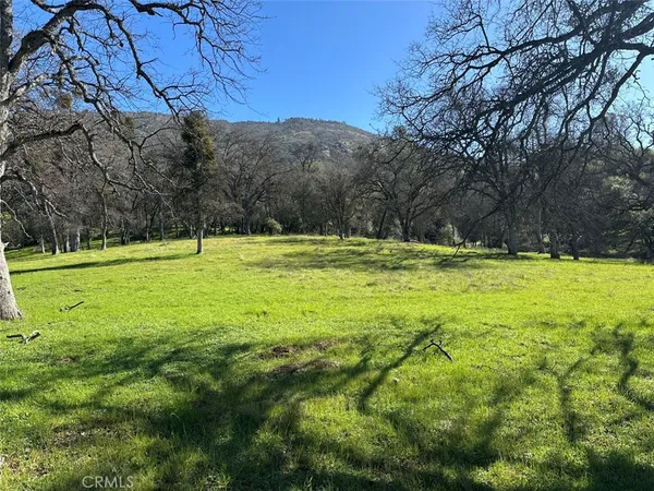 a view of a golf course