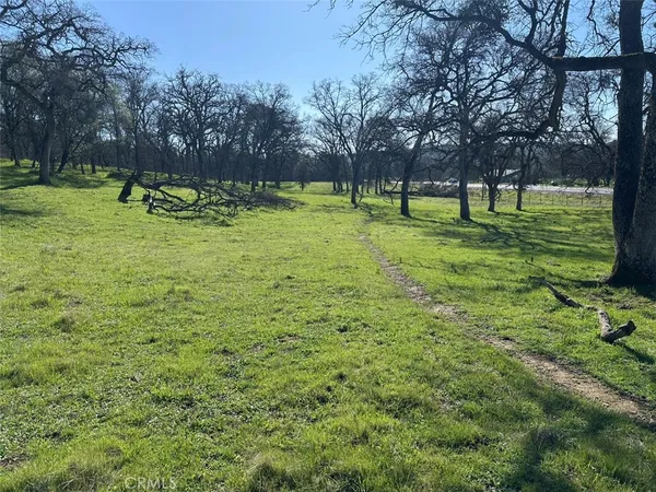 a view of field with trees in the background