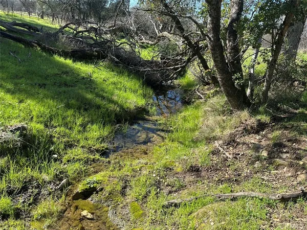 a view of a grassy field with trees
