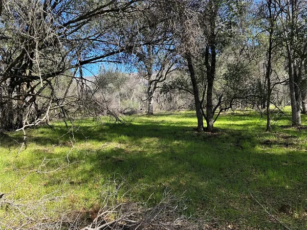 a large yard with wooden fence and trees